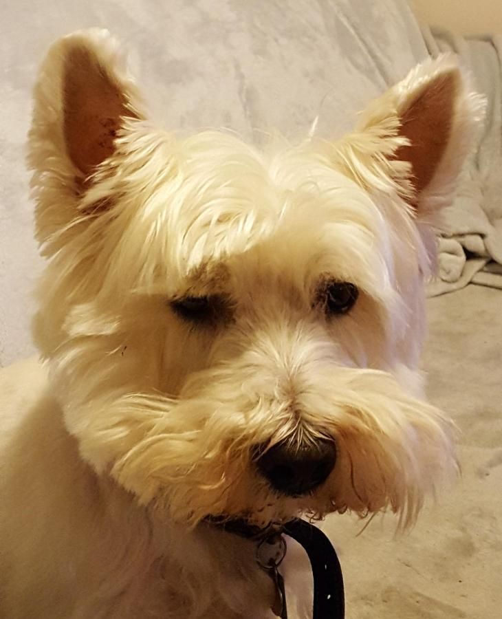 Tanleys B&B Grantown-on-Spey Esterno foto