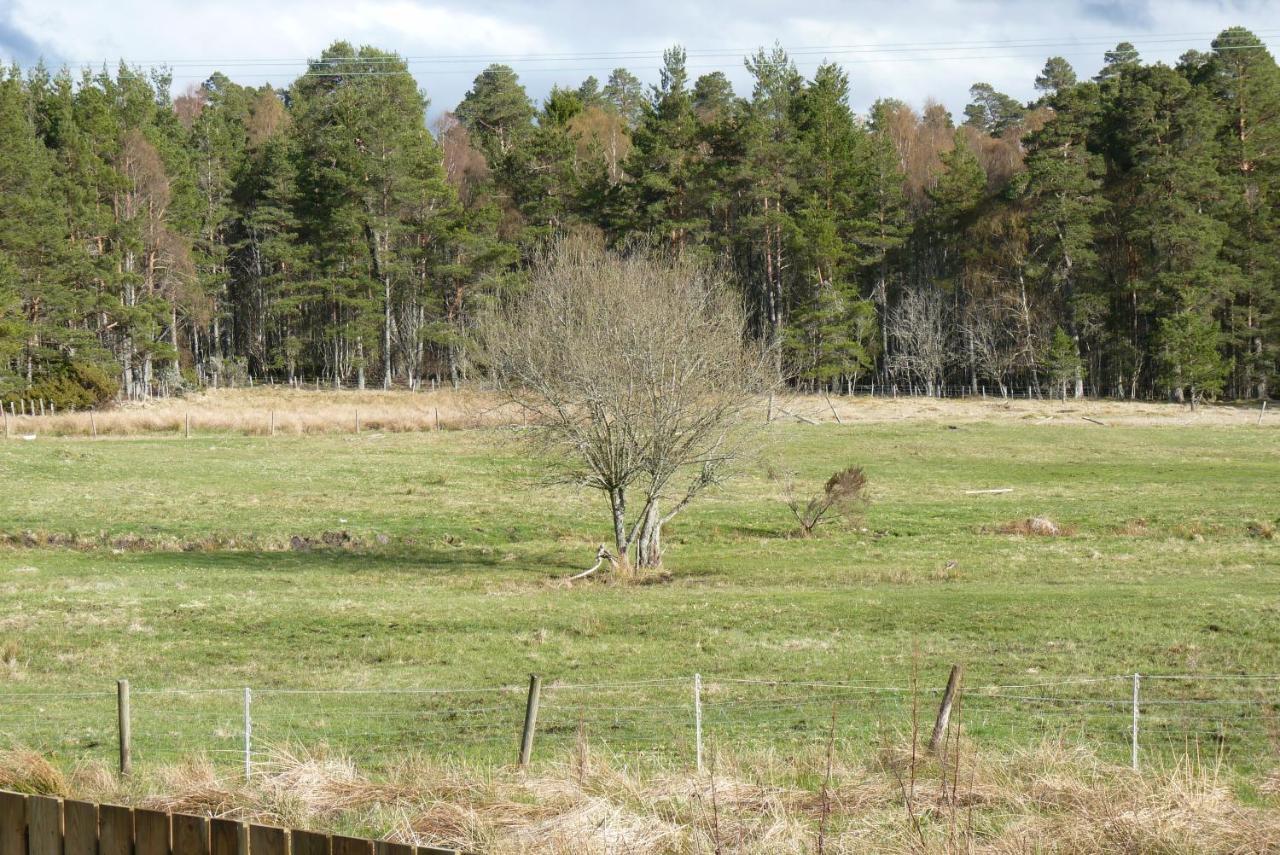 Tanleys B&B Grantown-on-Spey Esterno foto